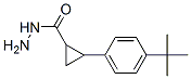 Cyclopropanecarboxylic acid, 2-[4-(1,1-dimethylethyl)phenyl]-, hydrazide (9CI) CAS#: 438616-66-1