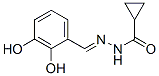 Cyclopropanecarboxylic acid, [(2,3-dihydroxyphenyl)methylene]hydrazide (9CI) CAS#: 475139-72-1