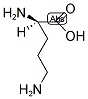 D-ORNITHINE CAS#: 410523-47-6