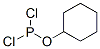 Dichlorophosphinous acid cyclohexyl ester CAS#: 54921-67-4