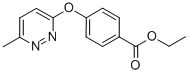 ETHYL 4-[(6-METHYL-3-PYRIDAZINYL)OXY]BENZOATE CAS#: 423768-61-0