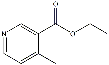 ETHYL 4-METHYLNICOTINATE CAS#: 55314-29-9