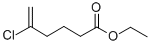 ETHYL 5-CHLORO-5-HEXENOATE CAS#: 485320-21-6