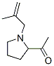 Ethanone, 1-[1-(2-methyl-2-propenyl)-2-pyrrolidinyl]- (9CI) CAS#: 412320-83-3