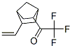 Ethanone, 1-(5-ethenylbicyclo[2.2.1]hept-2-yl)-2,2,2-trifluoro- (9CI) CAS#: 424826-75-5