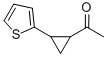 Ethanone,1-[2-(2-thienyl)cyclopropyl]- CAS#: 478262-59-8