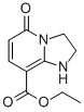 Ethyl 5-oxo-1,2,3,5-tetrahydroimidazo[1,2-a]pyridine-8-carboxylate CAS#: 439118-88-4