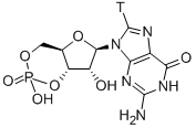 GUANOSINE 3',5'-CYCLIC PHOSPHATE, [GUANOSINE 8-3H] CAS#: 52898-16-5