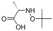 L-Alanine, N-(1,1-dimethylethoxy)- (9CI) CAS#: 57022-44-3