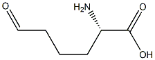 L-Allysine CAS#: 6665-12-9