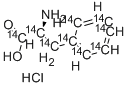 L-PHENYLALANINE-UL-14C CAS#: 658-69-5