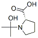 L-Proline, 1-(1-hydroxy-1-methylethyl)- (9CI) CAS#: 436159-71-6