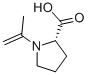 L-Proline, 1-(1-methylethenyl)- (9CI) CAS#: 436159-74-9