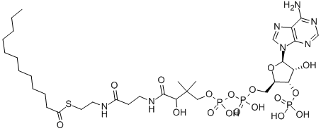 LAUROYL COENZYME A CAS#: 6244-92-4