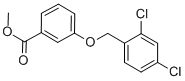 METHYL 3-[(2,4-DICHLOROBENZYL)OXY]BENZENECARBOXYLATE CAS#: 58041-99-9