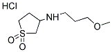 N-(1,1-DIOXIDOTETRAHYDROTHIEN-3-YL)-N-(3-METHOXYPROPYL)AMINE HYDROCHLORIDE CAS#: 483351-52-6