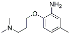N-[3-(2-AMINO-4-METHYLPHENOXY)PROPYL]-N,N-DIMETHYLAMINE CAS#: 457098-40-7
