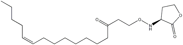 N-3-OXO-HEXADEC-11Z-ENOYL-L-HOMOSERINE LACTONE CAS#: 479050-91-4