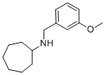 N-CYCLOOCTYL-M-METHOXYBNZYLAMINE CAS#: 418790-18-8