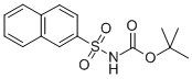 N-TERT-BUTYL-2-NAPHTHALENESULFONYLCARBA& CAS#: 461441-06-5