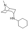 N-cyclohexyl-8-methyl-8-azabicyclo[3.2.1]octan-3-amine CAS#: 464922-77-8
