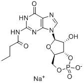 N2-MONOBUTYRYLGUANOSINE 3':5'-CYCLIC MONOPHOSPHATE SODIUM SALT CAS#: 51115-99-2