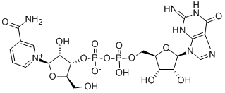 NICOTINAMIDE GUANINE DINUCLEOTIDE SODIUM SALT CAS#: 5624-35-1