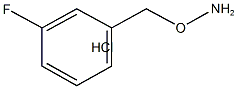 O-(3-Fluoro-benzyl)-hydroxylamine hydrochloride CAS#: 51572-90-8