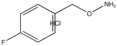 O-(4-Fluoro-benzyl)-hydroxylamine hydrochloride CAS#: 51572-89-5