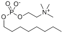 O-(OCTYLPHOSPHORYL)CHOLINE SOLUTION CAS#: 53255-89-3