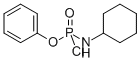 PHENYL CYCLOHEXYLPHOSPHORAMIDOCHLORIDATE CAS#: 58809-19-1