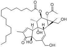 PHORBOL 16-HYDROXY 12-PALMITATE 13-ACETATE CAS#: 53202-98-5
