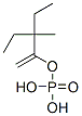 Phosphoric acid diethyl(1-methylenepropyl) ester CAS#: 50522-98-0