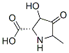 Proline, 3-hydroxy-5-methyl-4-oxo- (9CI) CAS#: 51500-05-1