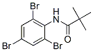 Propanamide, 2,2-dimethyl-N-(2,4,6-tribromophenyl)- CAS#: 56619-92-2