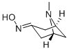(+/-)-Pseudopelletierine oxime CAS#: 6164-67-6