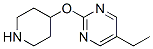 Pyrimidine, 5-ethyl-2-(4-piperidinyloxy)- (9CI) CAS#: 459819-33-1