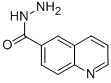 QUINOLINE-6-CARBOHYDRAZIDE CAS#: 5382-47-8