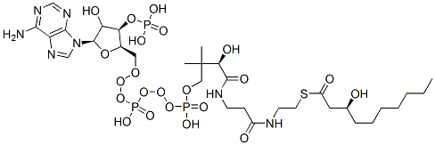 S-[2-[3-[[(2R)-4-[[[(2R,3R,5R)-5-(6-aminopurin-9-yl)-4-hydroxy-3-phosphonooxyoxolan-2-yl]methoxy-hydroxyphosphoryl]oxy-hydroxyphosphoryl]oxy-2-hydroxy-3,3-dimethylbutanoyl]amino]propanoylamino]ethyl] (3S)-3-hydroxydecanethioate CAS#: 6245-70-1