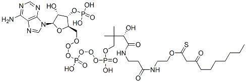 S-[2-[3-[[4-[[[(2R,3S,4R,5R)-5-(6-aminopurin-9-yl)-4-hydroxy-3-phosphonooxyoxolan-2-yl]methoxy-hydroxyphosphoryl]oxy-hydroxyphosphoryl]oxy-2-hydroxy-3,3-dimethylbutanoyl]amino]propanoylamino]ethyl] 3-oxodecanethioate CAS#: 50411-91-1