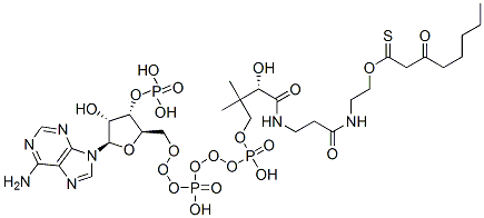 S-[2-[3-[[4-[[[(2R,3S,4R,5R)-5-(6-aminopurin-9-yl)-4-hydroxy-3-phosphonooxyoxolan-2-yl]methoxy-hydroxyphosphoryl]oxy-hydroxyphosphoryl]oxy-2-hydroxy-3,3-dimethylbutanoyl]amino]propanoylamino]ethyl] 3-oxooctanethioate CAS#: 54684-64-9