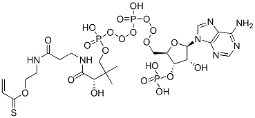S-[2-[3-[[4-[[[(2R,3S,4R,5R)-5-(6-aminopurin-9-yl)-4-hydroxy-3-phosphonooxyoxolan-2-yl]methoxy-hydroxyphosphoryl]oxy-hydroxyphosphoryl]oxy-2-hydroxy-3,3-dimethylbutanoyl]amino]propanoylamino]ethyl] prop-2-enethioate CAS#: 5776-58-9