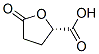 (S)-(+)-5-OXOTETRAHYDROFURAN-2-CARBOXYLIC ACID CAS#: 54848-33-8