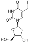 THYMIDINE, [METHYL-3H] CAS#: 52497-68-4