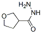Tetrahydro-3-furancarboxylic acid hydrazide CAS#: 59293-32-2