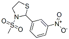 Thiazolidine, 3-(methylsulfonyl)-2-(3-nitrophenyl)- (9CI) CAS#: 537678-42-5