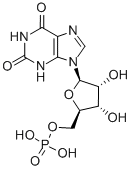 Xanthosine-5'-monophosphate CAS#: 523-98-8