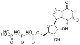 Xanthosine-5'-triphosphate CAS#: 6253-56-1