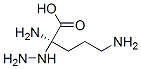 alpha-hydrazinoornithine CAS#: 50865-98-0