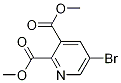 diMethyl 5-broMopyridine-2,3-dicarboxylate CAS#: 521980-82-5